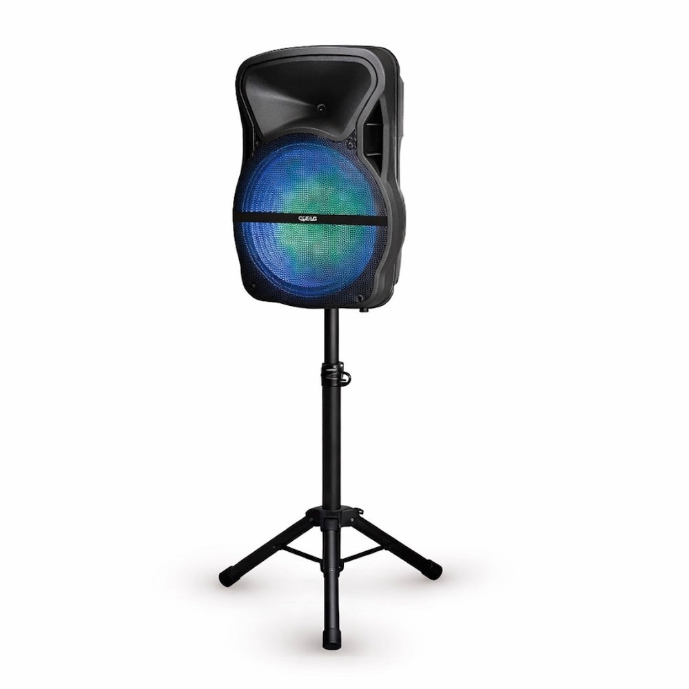 HOLIDAY PROMO - 15" Speaker with Stand & Mic